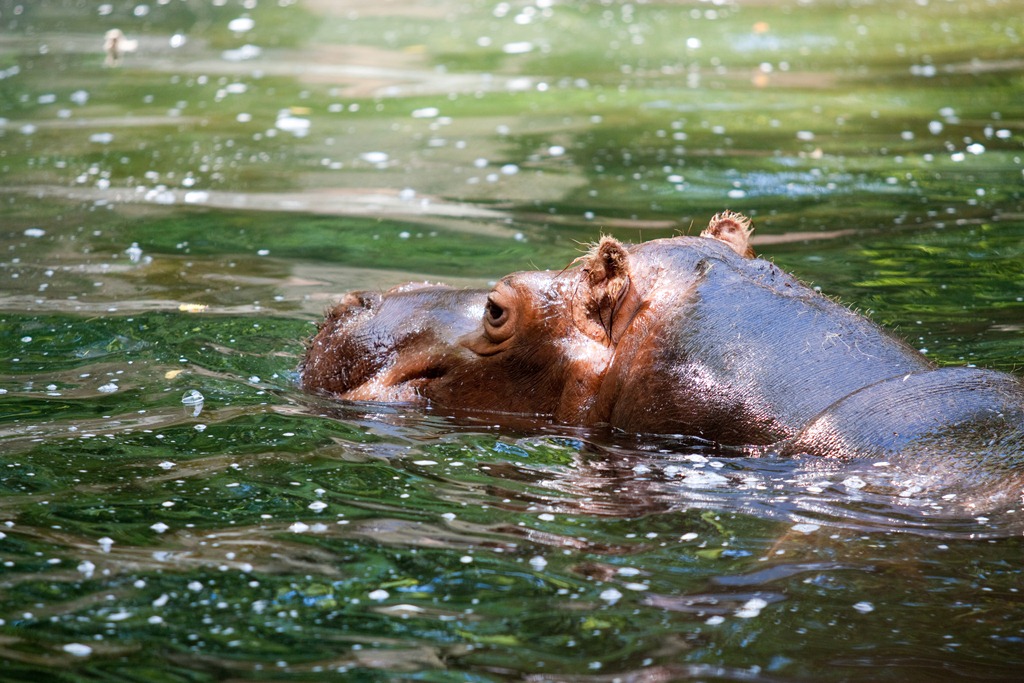 [20120716-IMG_67474.jpg]