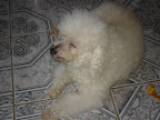 DSC05044.jpg