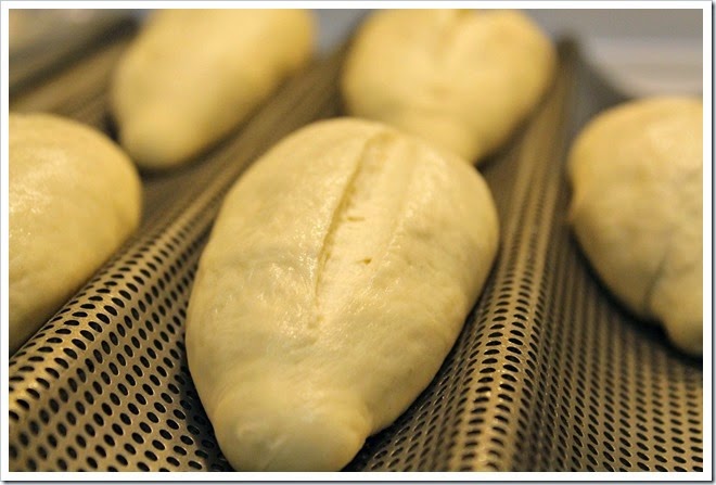 Mexican bolillo crusty rolls mexican bolillos recipe