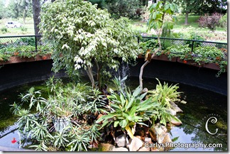 St Cloud Gardens-27