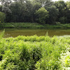 dsc01291.jpg
