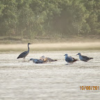 IMG_6475.JPG