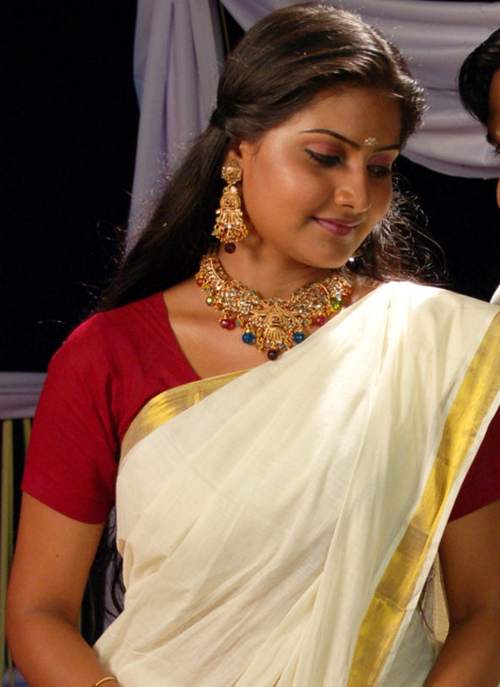 [nandagi%2520in%2520kerala%2520saree%255B3%255D.jpg]