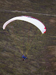 Peeen herlig "mus" Foto: Roy Samuelsen - http://tnett.no/roy/