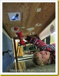 IMG_2948 IMG_2948