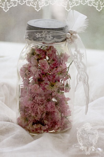 [ggbooksandflowers12%255B4%255D.jpg]