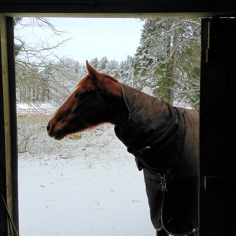 [4%2520Jan%25205%255B3%255D.jpg]