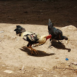 20130515 20130515