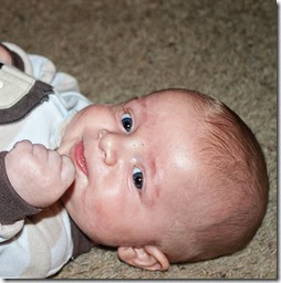 4 month old baby sullengers.com
