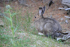 DSC_2291.JPG