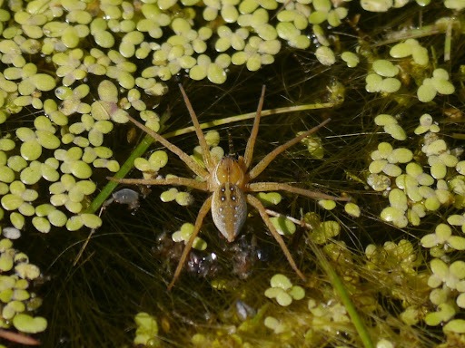 P1080068