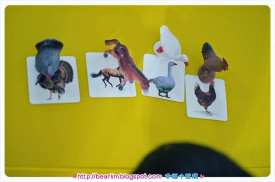 DSC_5771 DSC_5771