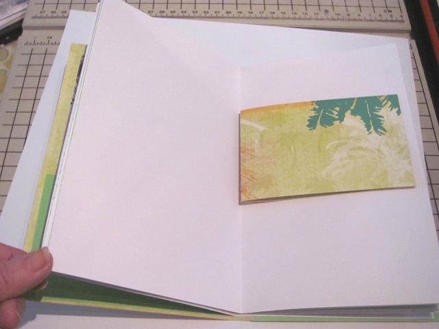 [pamphletbook3holelimeshortpagewpalms%255B1%255D.jpg]