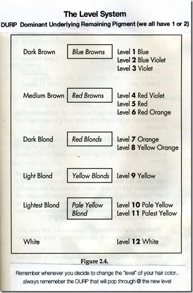 0002 level system chart 0222 0002 level system chart 0222