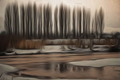 art8.jpg