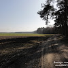 dsc06770.jpg