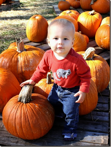 cutest pumpkin