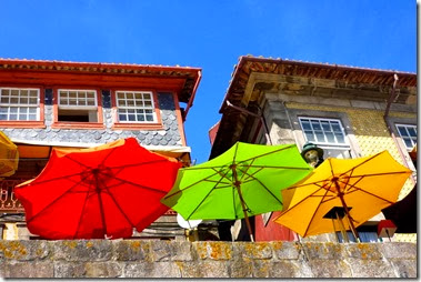 P1090012 P1090012