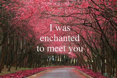 i_was_enchanted_to_meet_you_quote