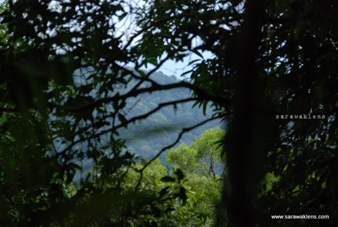 gunung_gading_summit_hike_32 gunung_gading_summit_hike_32
