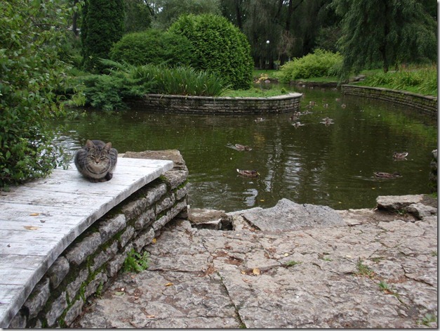 Kadrioru kirdetiik 5