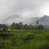 Gunung Tiga in mists - on way to Gunung Sago (Daniel Quinn, September 2011)
