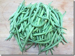 Bush beans