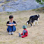 Oh ! Un chien ! (© Mick)