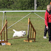 Billeder - Sommerkonkurrence 2010