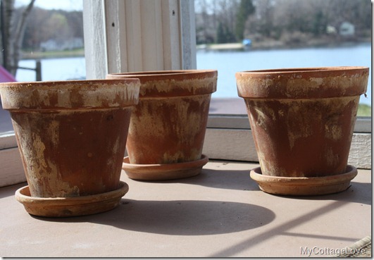 Sowing Seeds 3