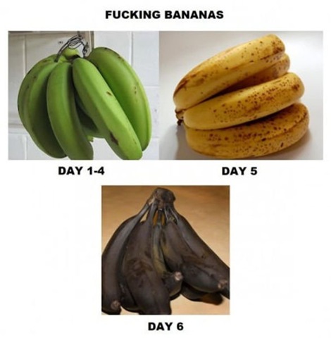 [viral-picdump-pics-1cbce4%255B2%255D.jpg]