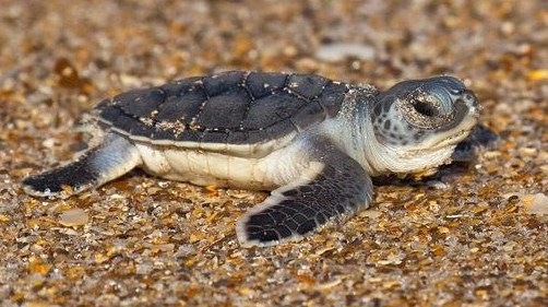 [nature%2520%25288%2529%255B2%255D.jpg]