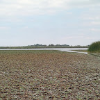 2012-09-02-166.jpg