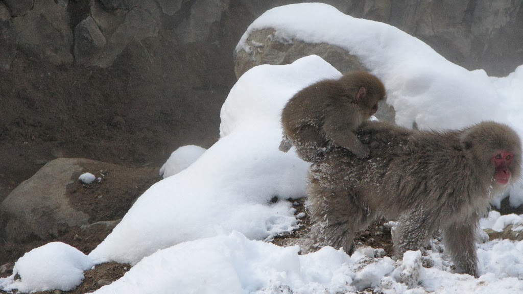 [IMG_4288%255B3%255D.jpg]