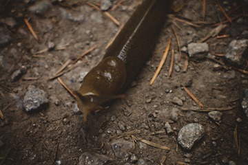 _MG_3127 copy