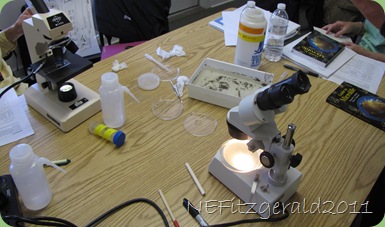 IMG_7485InTheLab IMG_7485InTheLab