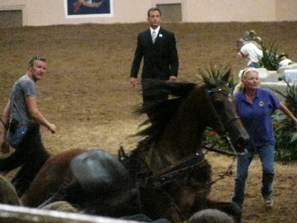 [IMG_3826%255B8%255D.jpg]