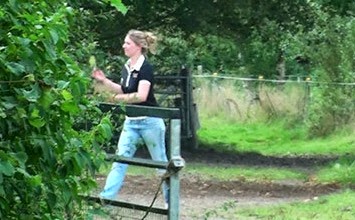 [20140905145234-%25281%2529%255B3%255D.jpg]