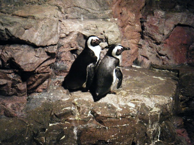 [DSCF71215.jpg]