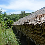 DSC_1729.JPG
