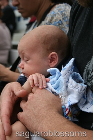 [IMG_7571%255B3%255D.jpg]
