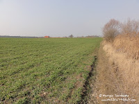 dsc07109.jpg