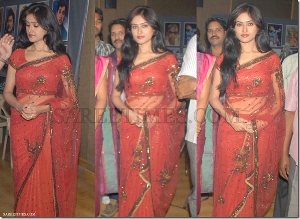 Red_Embroidery_Saree