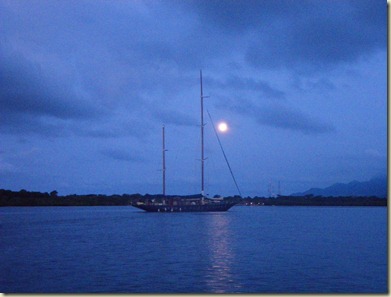 IMGP5233