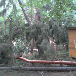 2012-08-06 17.33.09.jpg