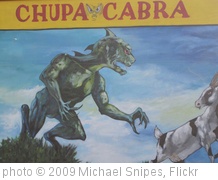 'Chupacabra' photo (c) 2009, Michael Snipes - license: http://creativecommons.org/licenses/by-sa/2.0/