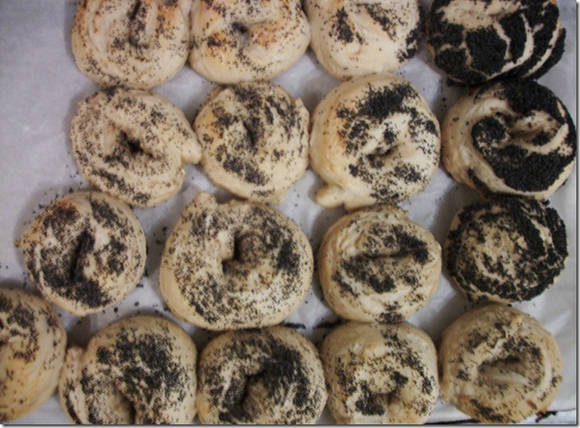 poppy bagels