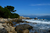 DSC_0540.JPG