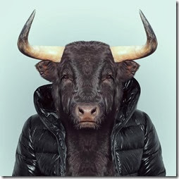 toro toro