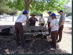 Dog park, CCC work day, May 13 011